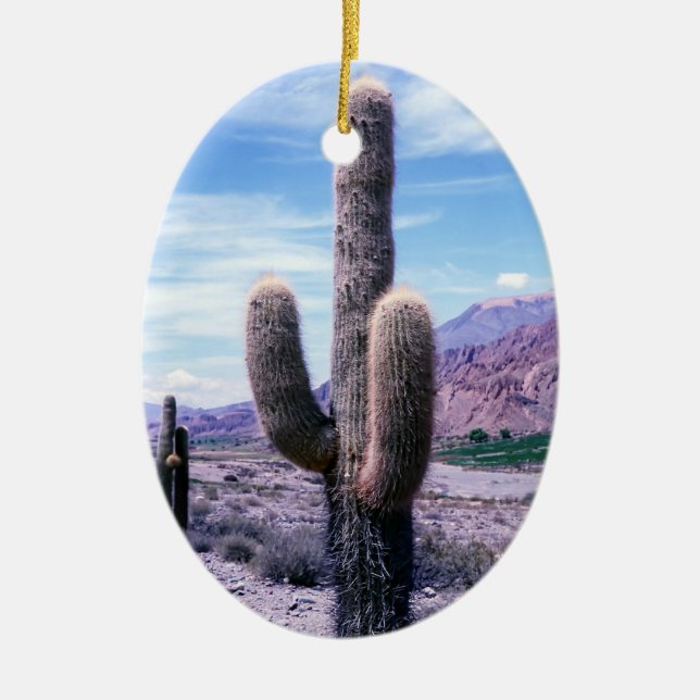 Décoration En Céramique Cactus dans la province de Jujuy - Nord de l'Argen (Devant)