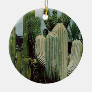 Décoration En Céramique Cactus de sud-ouest
