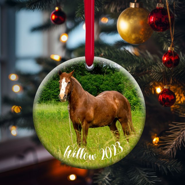 Décoration En Céramique Cadeau de l'ornement commémoratif Horse Lover (Créateur téléchargé)