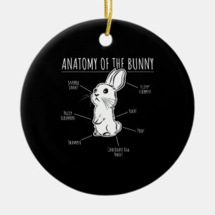 Décoration En Céramique Cadeau lapin  Anatomie De Lapin Mignonne Rabbit Am