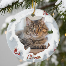 Cadeau personnalisé de Noël pour chat en 3D pour a