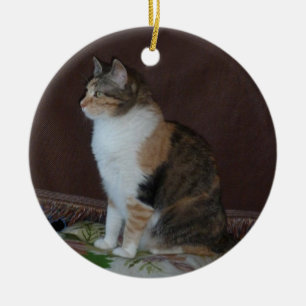 Décoration En Céramique Calico Cat