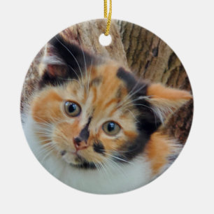 Décoration En Céramique Calico kitten