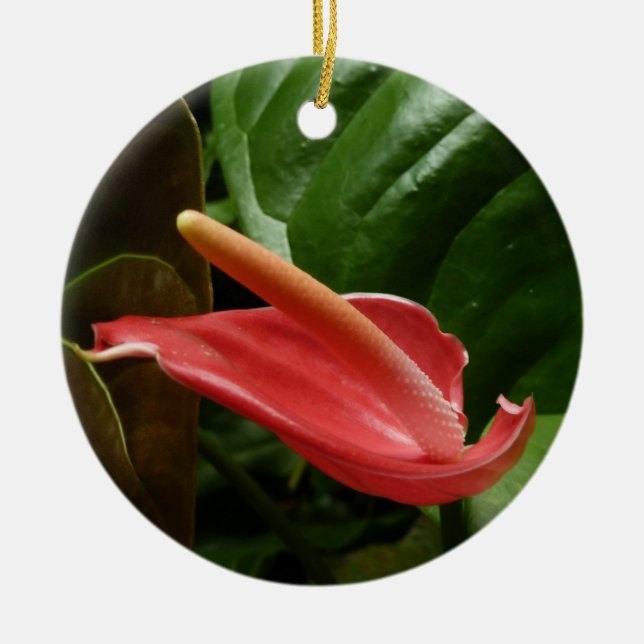 Décoration En Céramique Calla Rose Lily Élégant Floral (Devant)