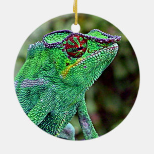 Décoration En Céramique Caméléon