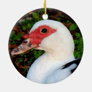 Décoration En Céramique Canard de muscovy noir et blanc Hen