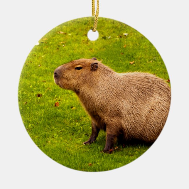 Décoration En Céramique Capybara (Devant)