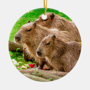 Décoration En Céramique Capybara Trio