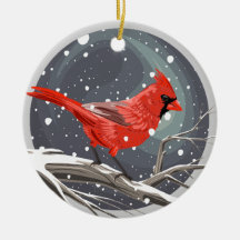 Cardinal d'hiver