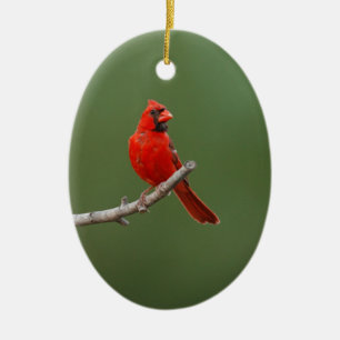 Décoration En Céramique Cardinal rouge