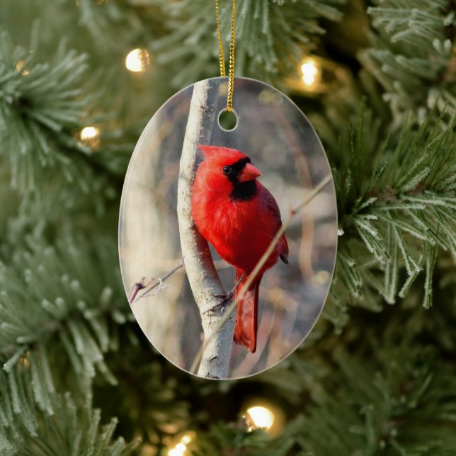Décoration En Céramique Cardinal rouge (Arbre)