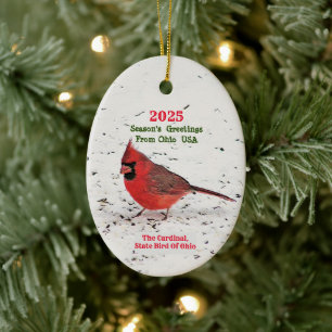 DÉCORATION EN CÉRAMIQUE CARDINAL ROUGE CLAIR EN NEIGE / OISEAU D'ÉTAT DE L