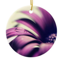 Cascade sur Purple Gerbera Daisy
