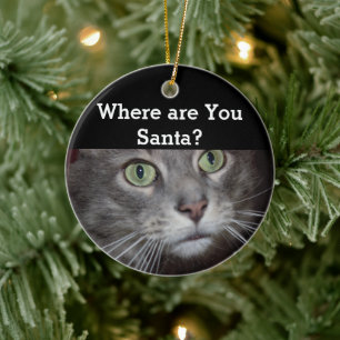 Décoration En Céramique Cat