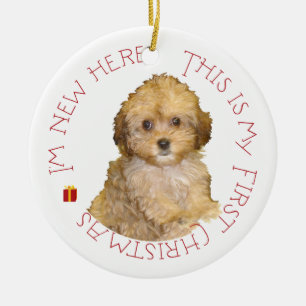 Décoration En Céramique Cavachon Chiot Premier Noël