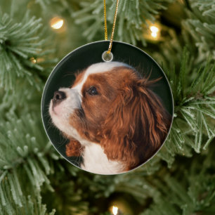 Décoration En Céramique Cavalier King Charles Spaniel Chien
