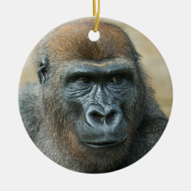 Décoration En Céramique Cercle clé Gorilla (Devant)