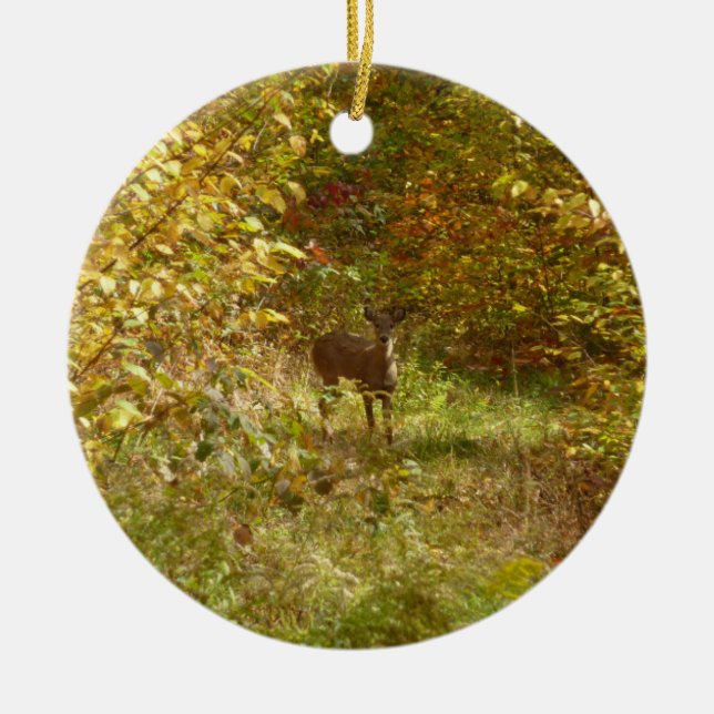 Décoration En Céramique Cerf de Pennsylvanie en automne (Devant)