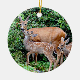 Décoration En Céramique Cerfs communs et famille jumelle d'animal de faons
