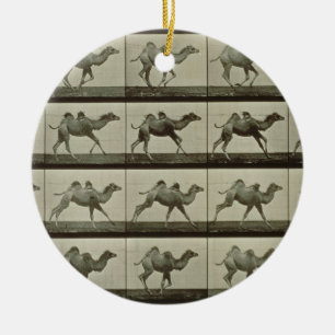 Décoration En Céramique Chameau, plat "de la locomotion animale", 1887