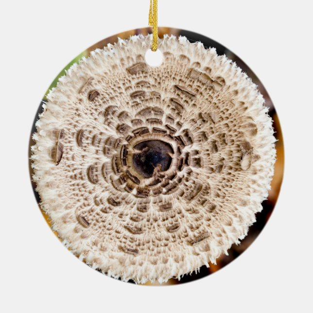 Décoration En Céramique Champagne (Dos)