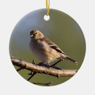 Décoration En Céramique Chardonneret américain dans le plumage d'hiver