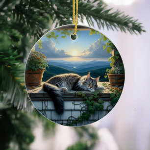 Décoration En Céramique Charmant Maine Coon Souvenir