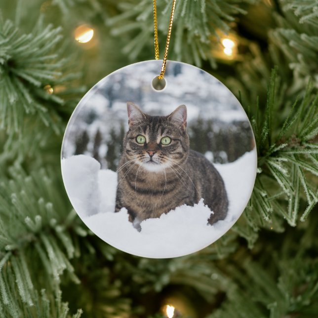 Décoration En Céramique Chat 2 photo personnalisé Noël (Arbre)
