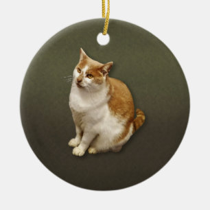 Décoration En Céramique Chat à courte aigue orange et blanc