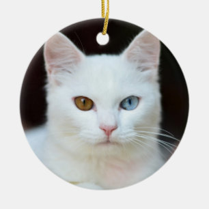 Décoration En Céramique Chat blanc
