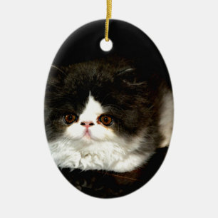 Décoration En Céramique Chat chaton blanc noir mignon