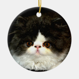 Décoration En Céramique Chat chaton blanc noir mignon