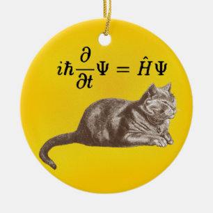 Décoration En Céramique Chat de Schrodinger