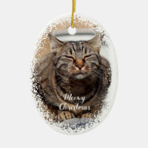 Chat neigeux sur l'ornement en céramique de Noël