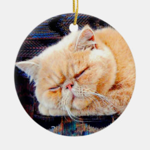 Décoration En Céramique Chat persan orange