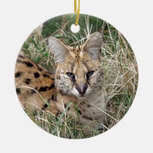 Décoration En Céramique Chat Serval se relaxant dans l'herbe