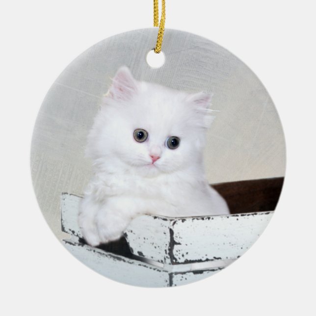 Décoration En Céramique Chaton persan blanc (Devant)