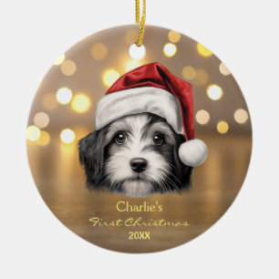 Décoration En Céramique Cher Havanais Chien Santa Hat 1er Noël