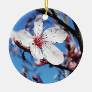 Décoration En Céramique Cherry Blossom 2