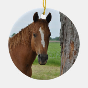Décoration En Céramique Cheval