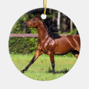 Décoration En Céramique Cheval arabe courant 2