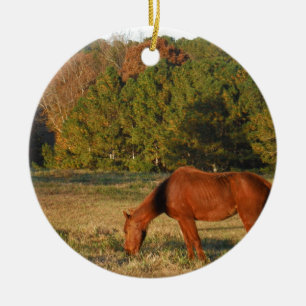 Décoration En Céramique Cheval Brown aux pins