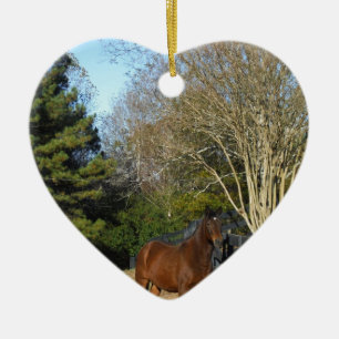 Décoration En Céramique Cheval Brown contre une clôture