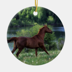 Décoration En Céramique Cheval de pur sang se tenant en fleurs