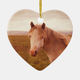 Décoration En Céramique cheval sauvage vintage