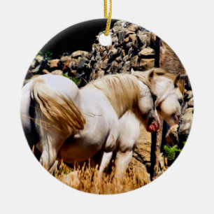 DÉCORATION EN CÉRAMIQUE CHEVAUX