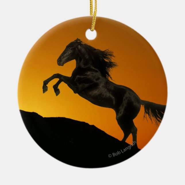 Décoration En Céramique Chevaux d'imaginaire : Coucher du soleil de (Devant)