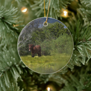 Décoration En Céramique Chevaux sauvages de l'Assateague