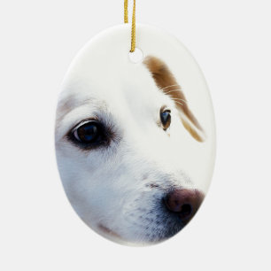 Décoration En Céramique Chien blanc aux yeux fidèles, Animaux Animaux Chie