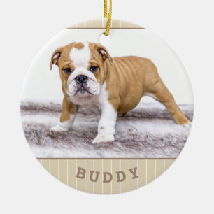 Décoration En Céramique Chien Chiot Animal Compagnie Photo Beige Rayure